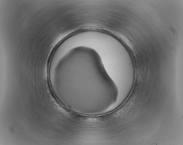 X0000115170839200911181404