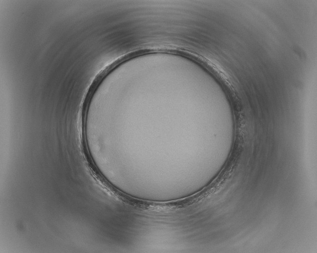 X0000115170840200911181404