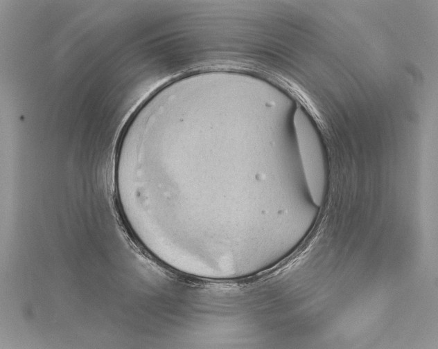 X0000115170844200911181404