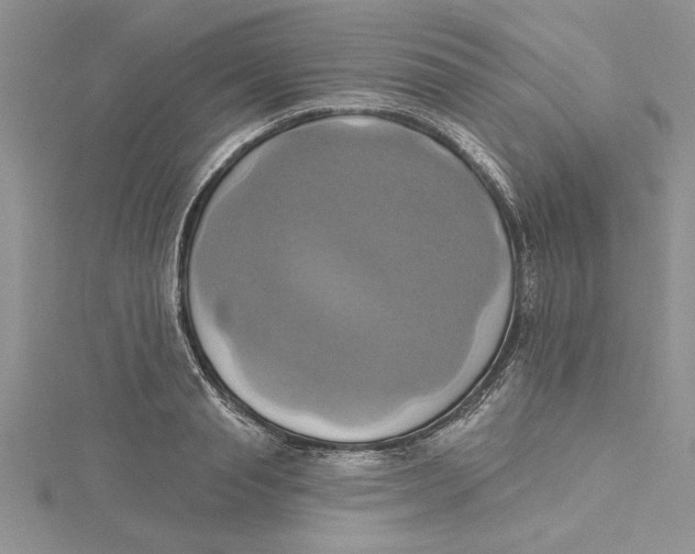 X0000115170845200911181404
