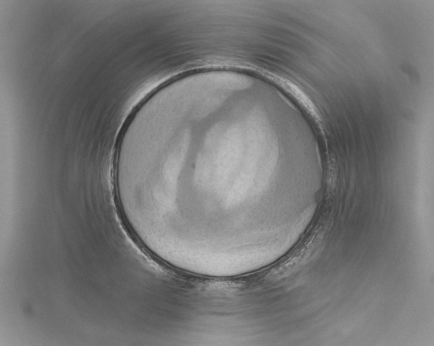 X0000115170847200911181404