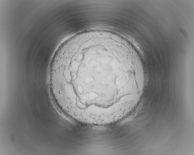 X0000115170848200911181404