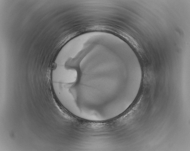 X0000115170849200911181404