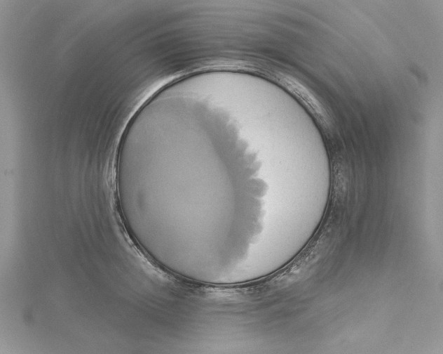 X0000115170852200911181404