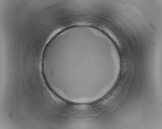 X0000115170853200911181404