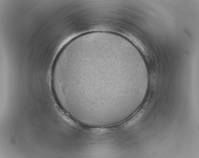 X0000115170854200911181404