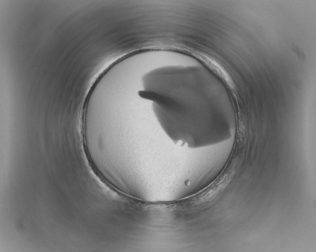 X0000115170855200911181404