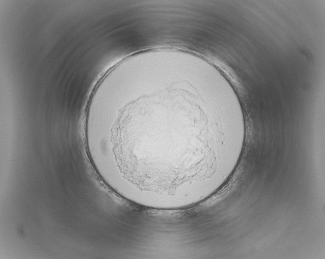 X0000115170856200911181404