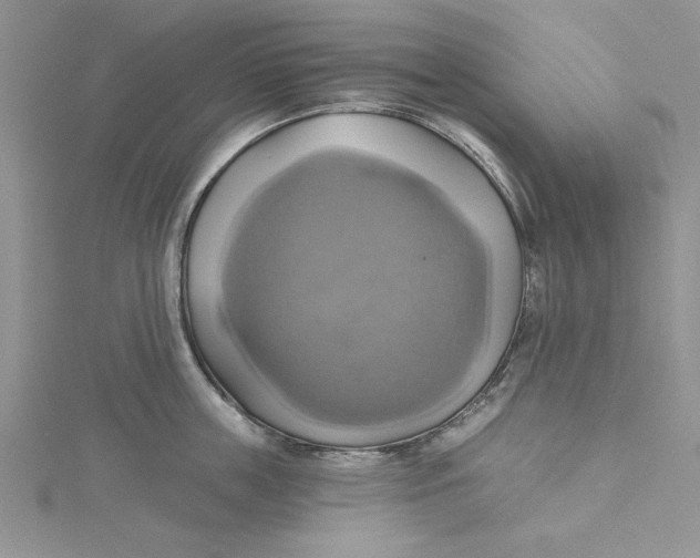 X0000115170859200911181404