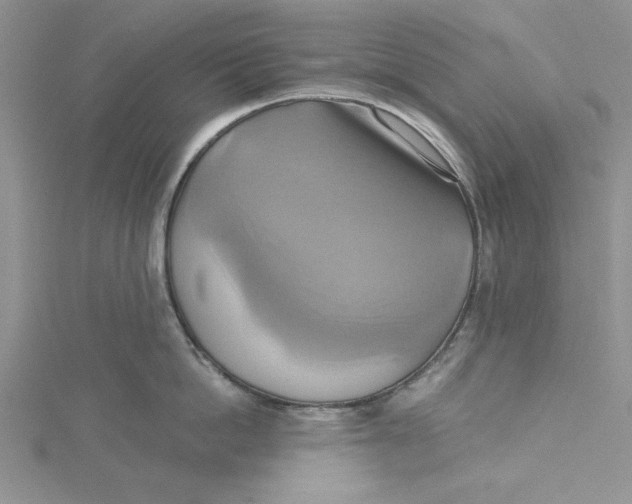 X0000115170862200911181404