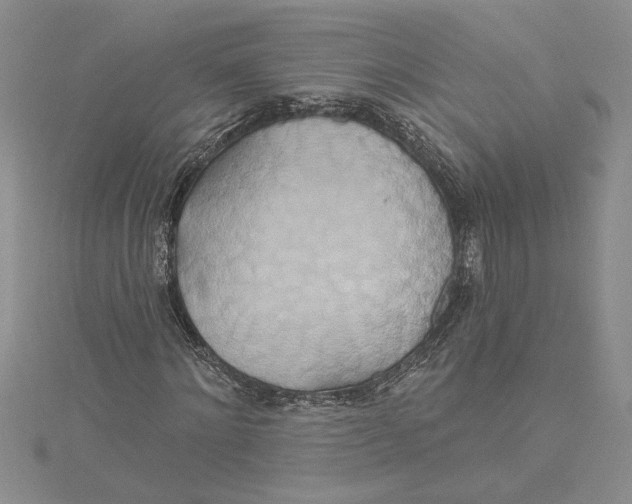 X0000115170868200911181403