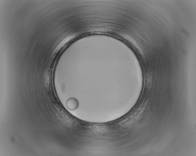 X0000115170874200911181403