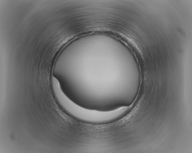 X0000115170881200911181403