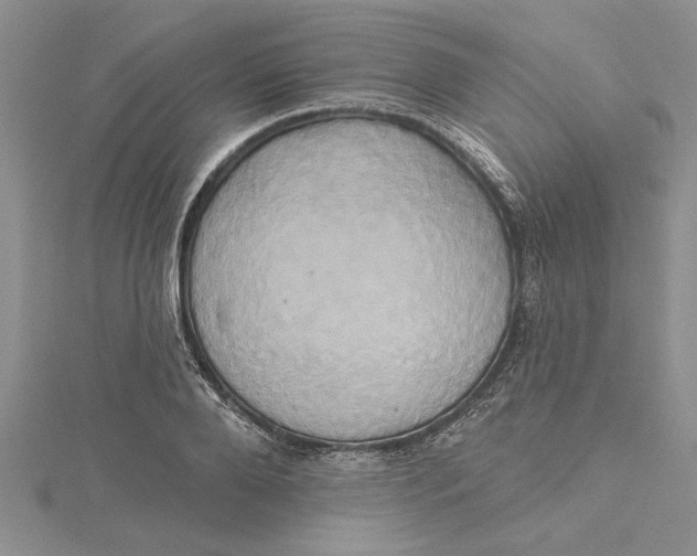 X0000115170888200911181403