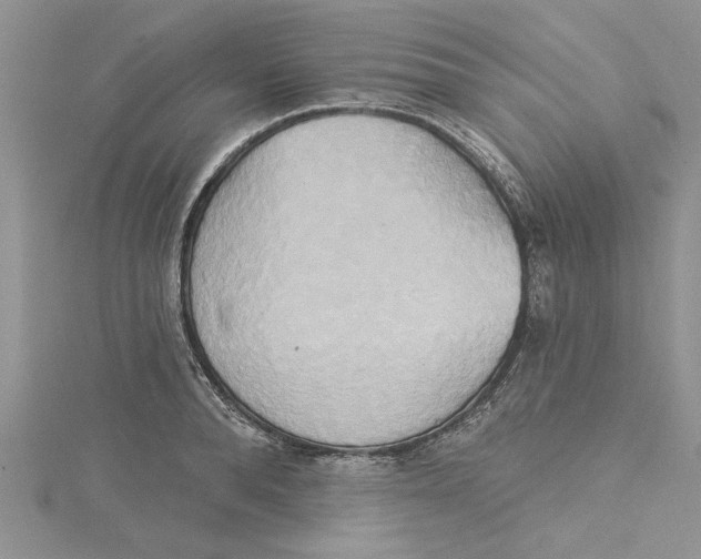 X0000115170896200911181403