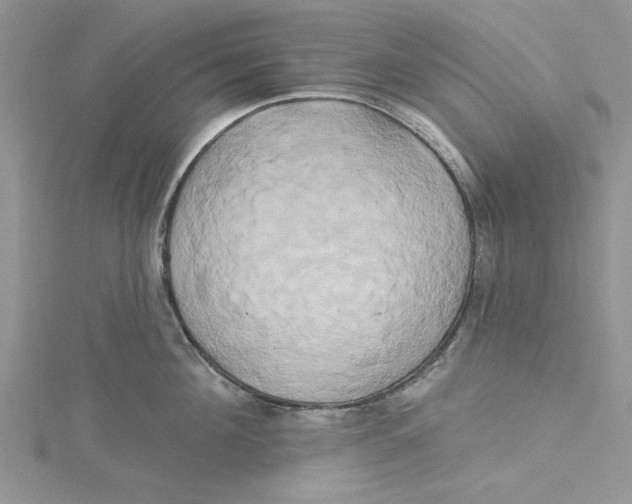 X0000115170908200911181403