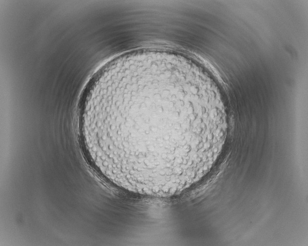 X0000115170931200911181402