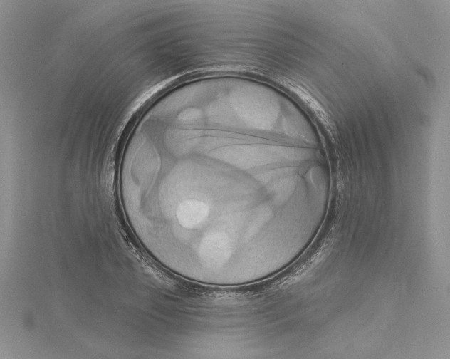 X0000115170933200911181402