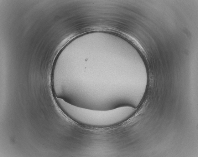 X0000115170946200911181402