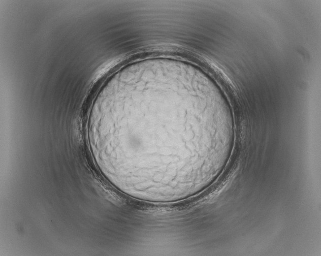 X0000115170970200911181402