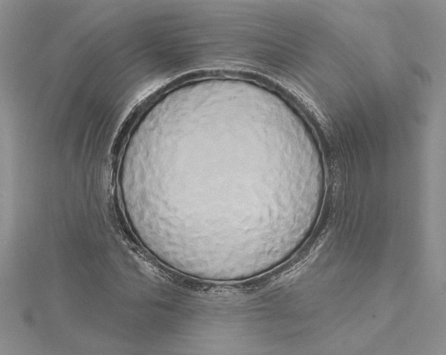 X0000115170974200911181402