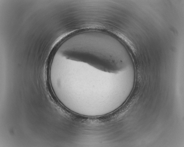 X0000115170983200911181402