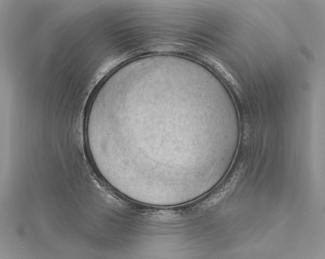 X0000115170986200911181402