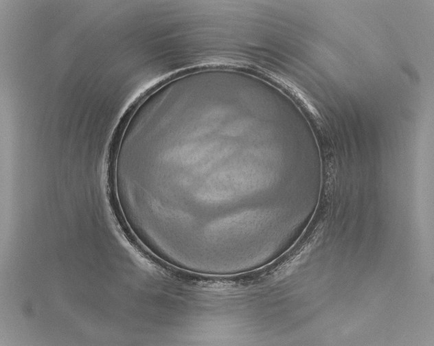 X0000115170991200911181402