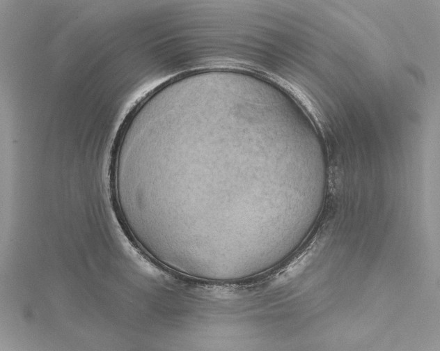 X0000115170995200911181401