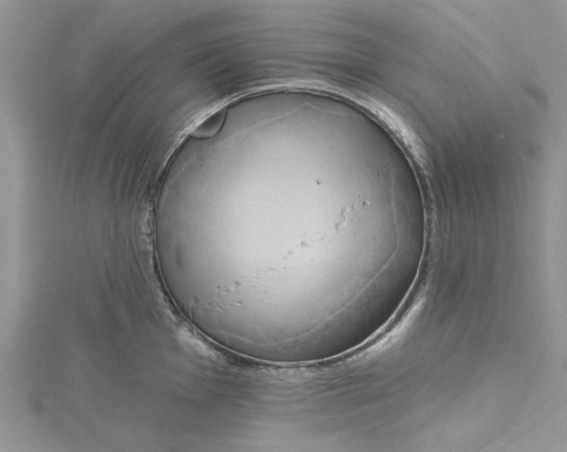 X0000115171001200911181401