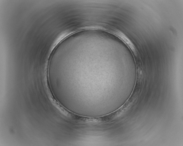 X0000115171002200911181401