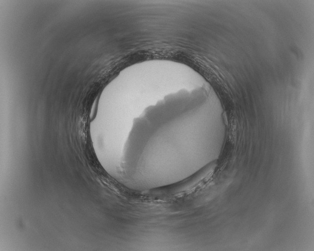 X0000115171010200911181401