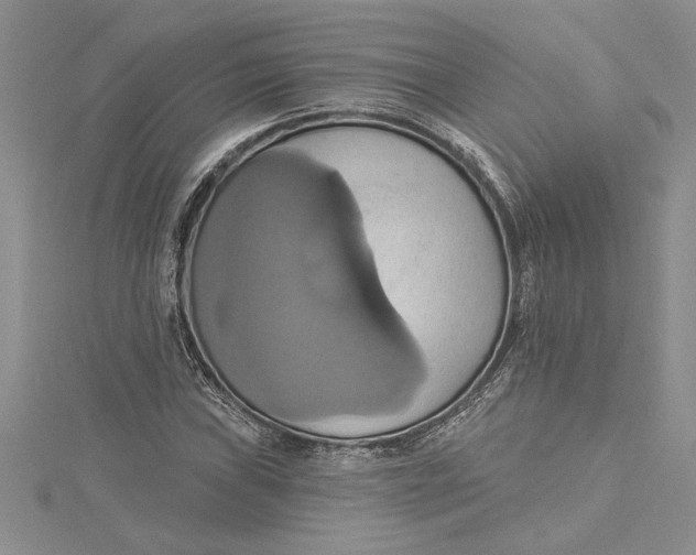 X0000115171019200911181401