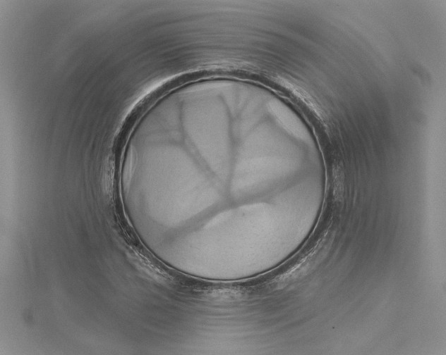 X0000115171021200911181401