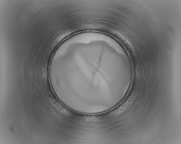 X0000115171025200911181401