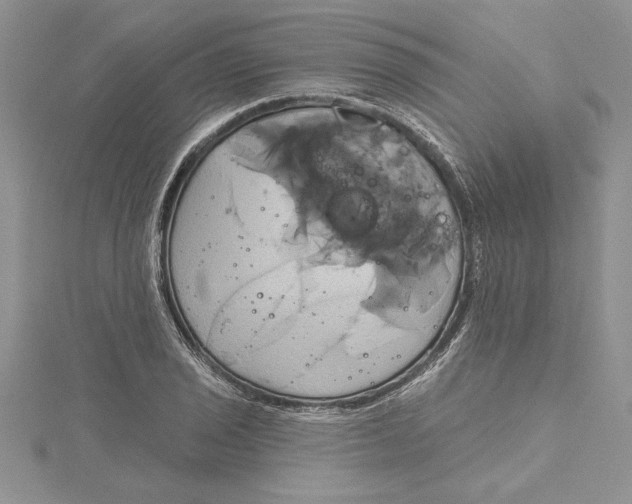 X0000115171029200911181401