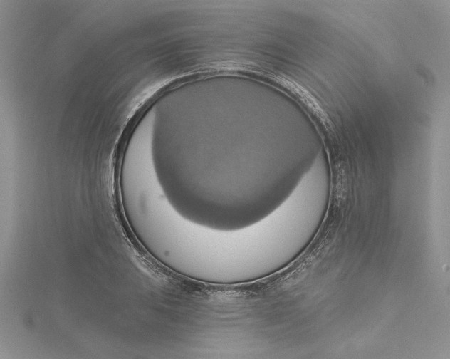 X0000115171031200911181401