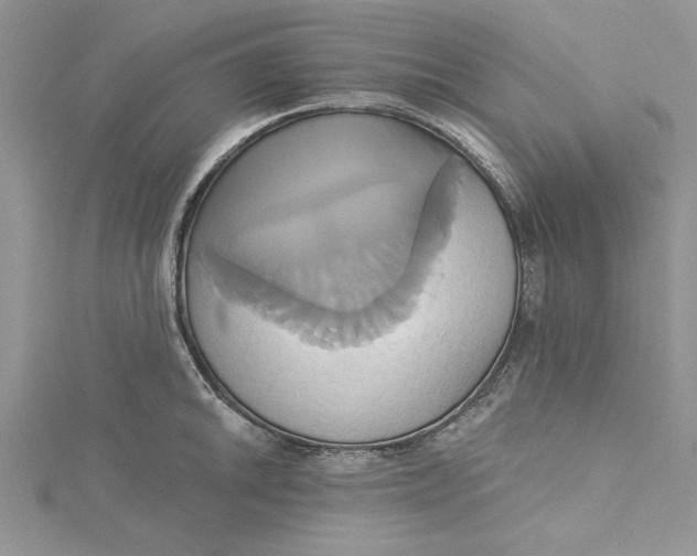 X0000115171046200911181401