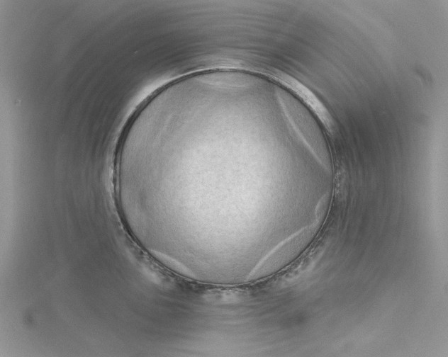 X0000115171051200911181401