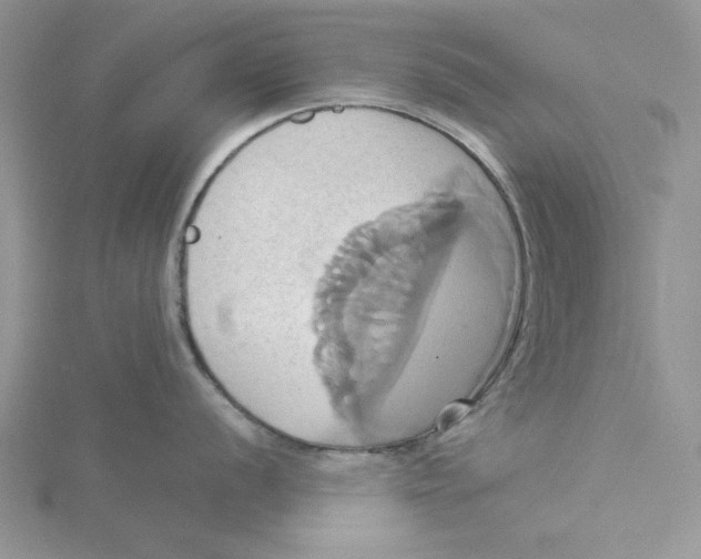 X0000115171056200911181401