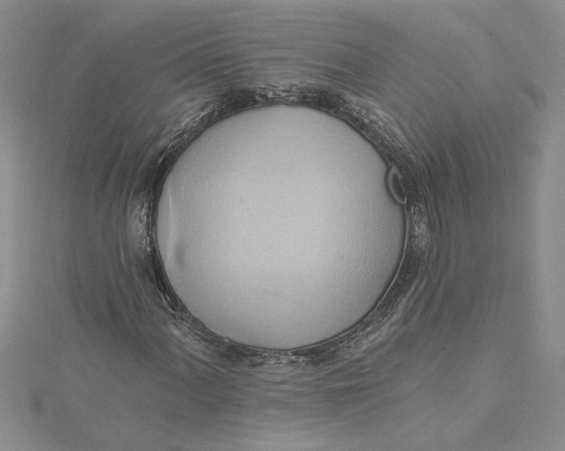 X0000115171060200911181401