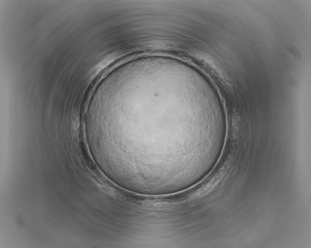 X0000115171065200911181400