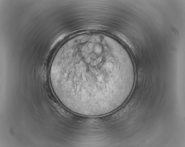 X0000115171067200911181400