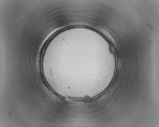 X0000115171068200911181400