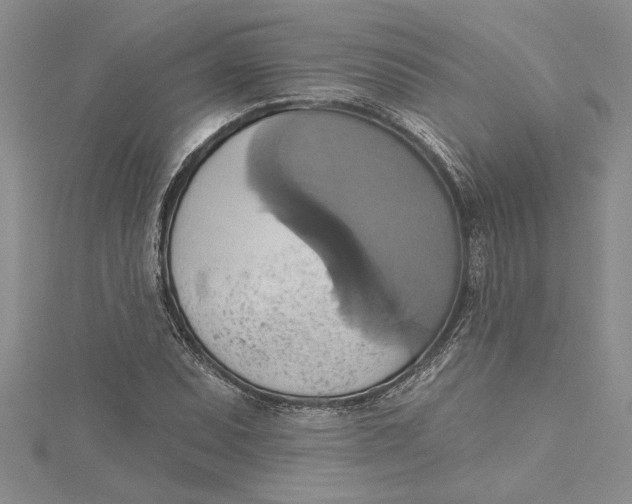 X0000115171071200911181400