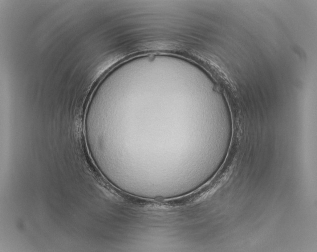 X0000115171073200911181400