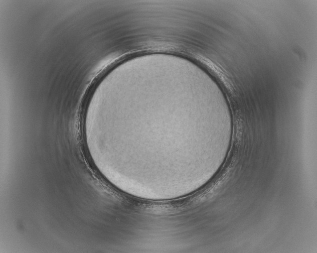 X0000115171074200911181400