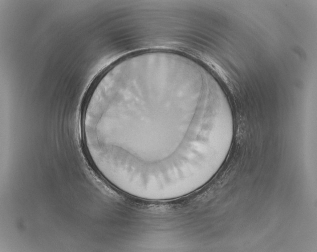 X0000115171080200911181400