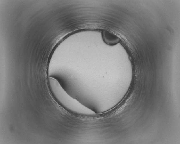 X0000115171081200911181400