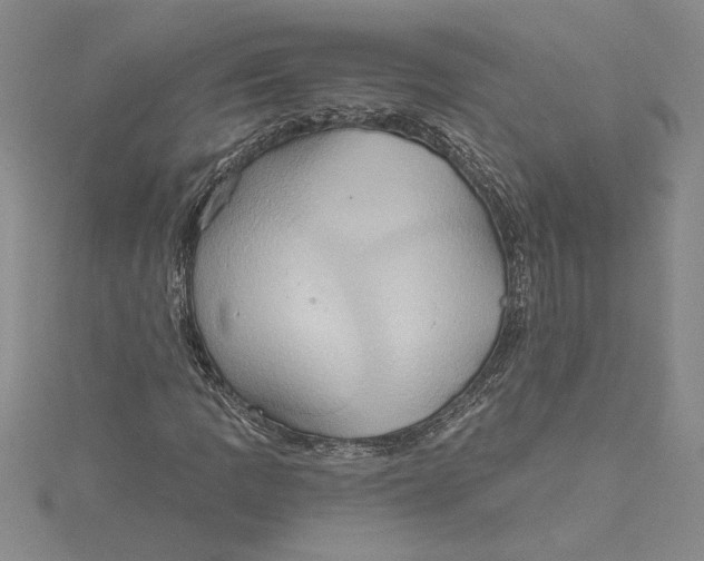 X0000115171109200911181359